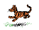 Bouncy Tigger